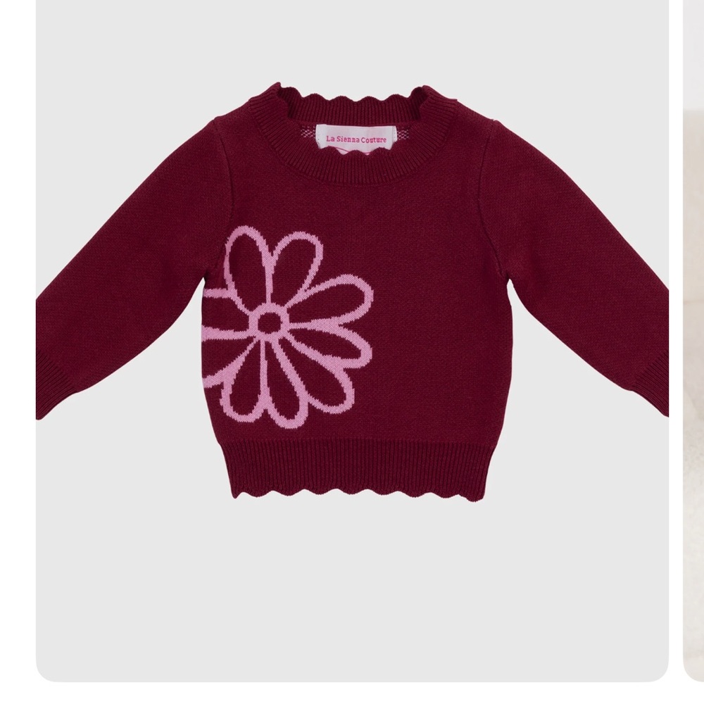 Kids Burgundy and Pink Sweater Set